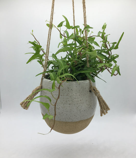 Pottery Hanging Planter with draining hole, Wheel thrown pottery.